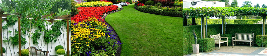 Tuinaanleg en tuinonderhoud